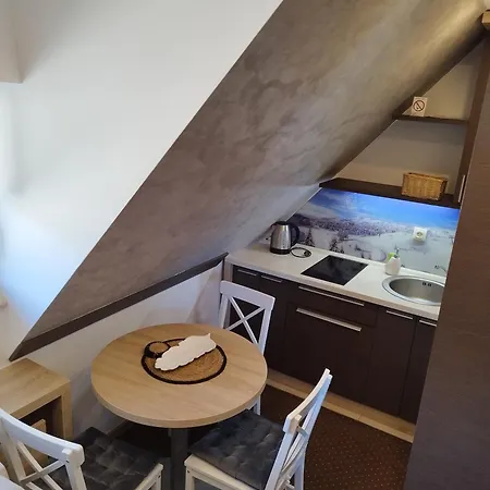 Maja Konaci * Kopaonik