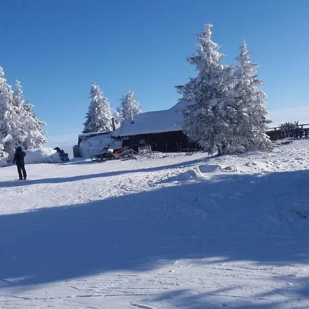 Maja Konaci Kopaonik